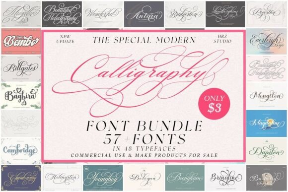 Download The Special Modern Calligraphy Font Bundle - Font Collection