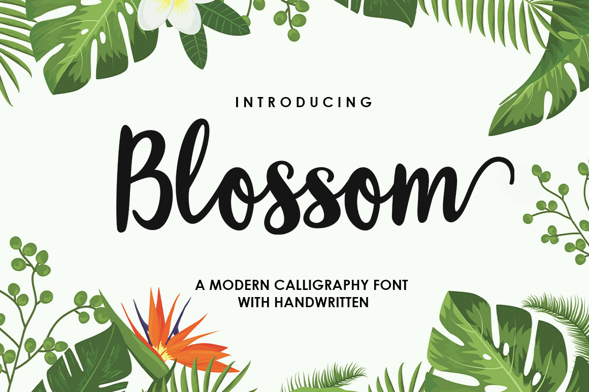 Download Blossom Script Font&nbsp; - Font Collection